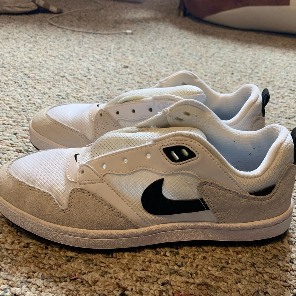 nike SB alleyoop shoes